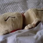 Shleepy
