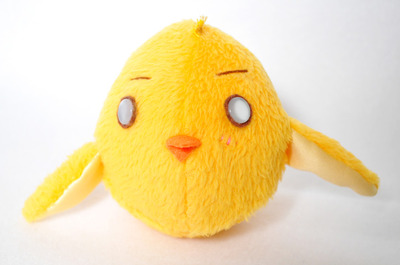 pollo1.jpg
