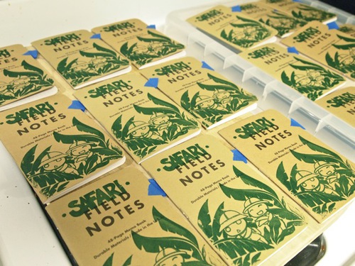 Safari Field Notes