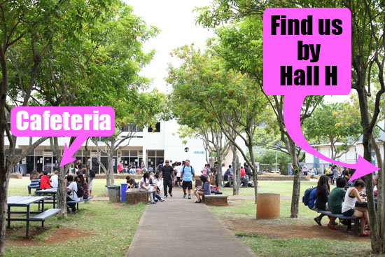 moanaluamarkers.png