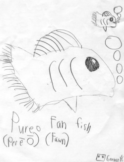 Fish by Gemma Hayden